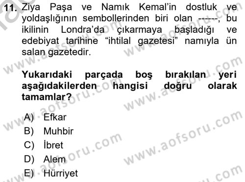 Yeni Türk Edebiyatına Giriş 2 Dersi 2018 - 2019 Yılı Yaz Okulu Sınav Soruları 11. Soru
