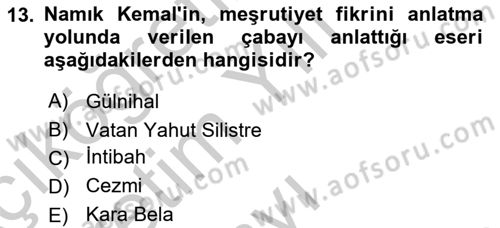 Yeni Türk Edebiyatına Giriş 2 Dersi 2018 - 2019 Yılı Yaz Okulu Sınav Soruları 13. Soru