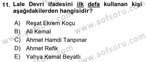 Yeni Türk Edebiyatına Giriş 2 Dersi 2021 - 2022 Yılı (Final) Dönem Sonu Sınav Soruları 11. Soru