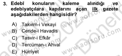 Yeni Türk Edebiyatına Giriş 2 Dersi 2023 - 2024 Yılı (Final) Dönem Sonu Sınav Soruları 3. Soru