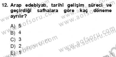 VIII-XIII. Yüzyıllar Türk Edebiyatı Dersi 2012 - 2013 Yılı (Vize) Ara Sınav Soruları 12. Soru