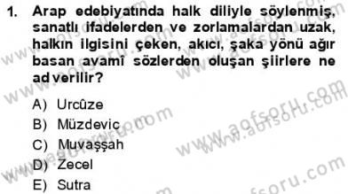 VIII-XIII. Yüzyıllar Türk Edebiyatı Dersi 2013 - 2014 Yılı (Final) Dönem Sonu Sınavı 1. Soru