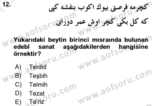 VIII-XIII. Yüzyıllar Türk Edebiyatı Dersi 2016 - 2017 Yılı (Final) Dönem Sonu Sınav Soruları 12. Soru