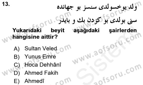 VIII-XIII. Yüzyıllar Türk Edebiyatı Dersi 2016 - 2017 Yılı (Final) Dönem Sonu Sınav Soruları 13. Soru