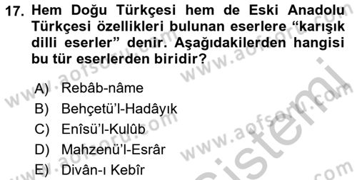 VIII-XIII. Yüzyıllar Türk Edebiyatı Dersi 2018 - 2019 Yılı Yaz Okulu Sınavı 17. Soru