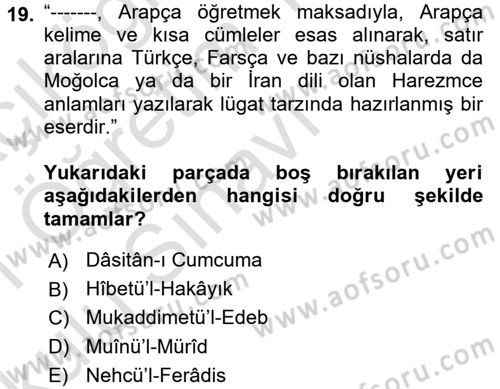 VIII-XIII. Yüzyıllar Türk Edebiyatı Dersi 2020 - 2021 Yılı Yaz Okulu Sınavı 19. Soru