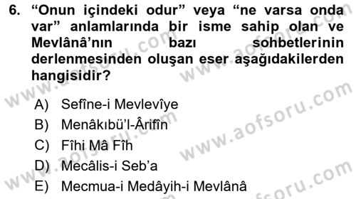 VIII-XIII. Yüzyıllar Türk Edebiyatı Dersi 2020 - 2021 Yılı Yaz Okulu Sınavı 6. Soru