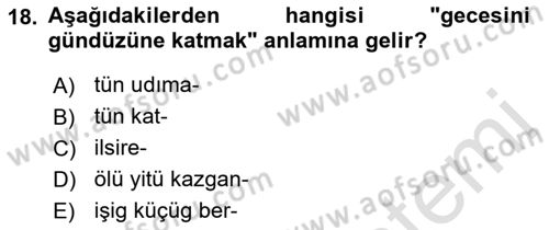 VIII-XIII. Yüzyıllar Türk Edebiyatı Dersi 2021 - 2022 Yılı (Final) Dönem Sonu Sınav Soruları 18. Soru
