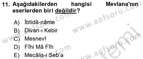 VIII-XIII. Yüzyıllar Türk Edebiyatı Dersi 2021 - 2022 Yılı Yaz Okulu Sınavı 11. Soru