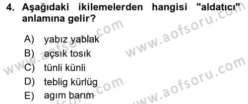 VIII-XIII. Yüzyıllar Türk Edebiyatı Dersi 2021 - 2022 Yılı Yaz Okulu Sınavı 4. Soru