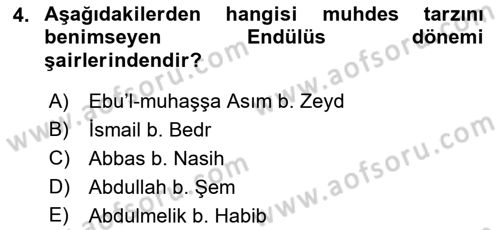 VIII-XIII. Yüzyıllar Türk Edebiyatı Dersi 2022 - 2023 Yılı (Vize) Ara Sınavı 4. Soru