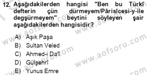 VIII-XIII. Yüzyıllar Türk Edebiyatı Dersi 2022 - 2023 Yılı (Final) Dönem Sonu Sınavı 12. Soru