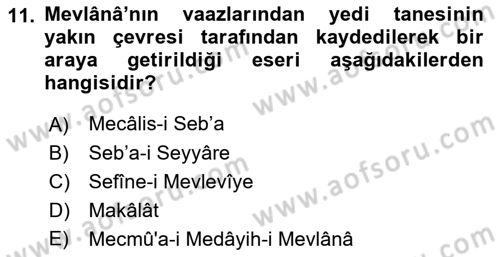 VIII-XIII. Yüzyıllar Türk Edebiyatı Dersi 2022 - 2023 Yılı Yaz Okulu Sınavı 11. Soru