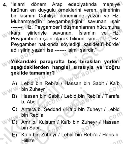 VIII-XIII. Yüzyıllar Türk Edebiyatı Dersi 2023 - 2024 Yılı (Vize) Ara Sınavı 4. Soru