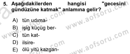 VIII-XIII. Yüzyıllar Türk Edebiyatı Dersi 2023 - 2024 Yılı (Vize) Ara Sınavı 5. Soru