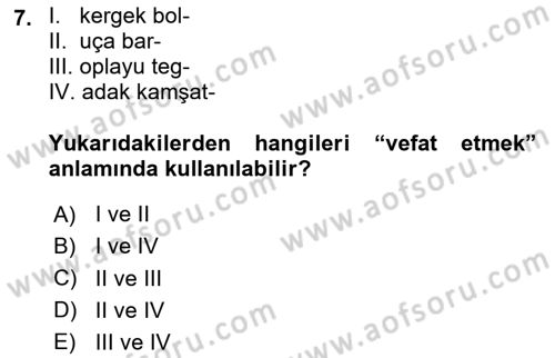 VIII-XIII. Yüzyıllar Türk Edebiyatı Dersi 2023 - 2024 Yılı Yaz Okulu Sınavı 7. Soru