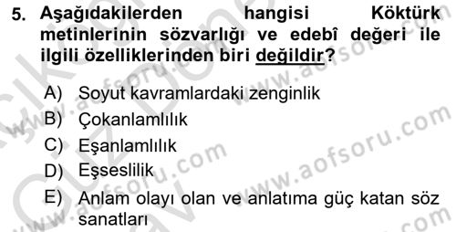 VIII-XIII. Yüzyıllar Türk Edebiyatı Dersi 2024 - 2025 Yılı (Vize) Ara Sınav Soruları 5. Soru