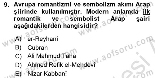 VIII-XIII. Yüzyıllar Türk Edebiyatı Dersi 2024 - 2025 Yılı (Vize) Ara Sınav Soruları 9. Soru