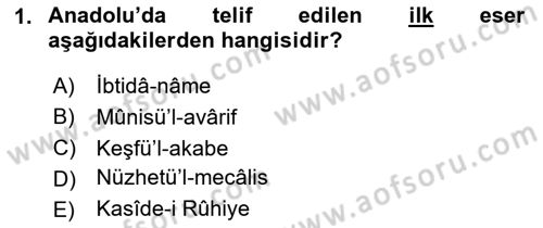 VIII-XIII. Yüzyıllar Türk Edebiyatı Dersi 2024 - 2025 Yılı Yaz Okulu Sınav Soruları 1. Soru