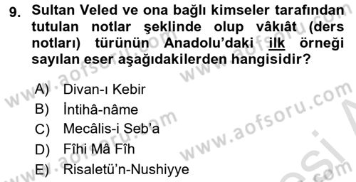 VIII-XIII. Yüzyıllar Türk Edebiyatı Dersi 2024 - 2025 Yılı Yaz Okulu Sınav Soruları 9. Soru