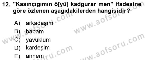 VIII-XIII. Yüzyıllar Türk Edebiyatı Dersi 2025 - 2026 Yılı (Vize) Ara Sınav Soruları 12. Soru