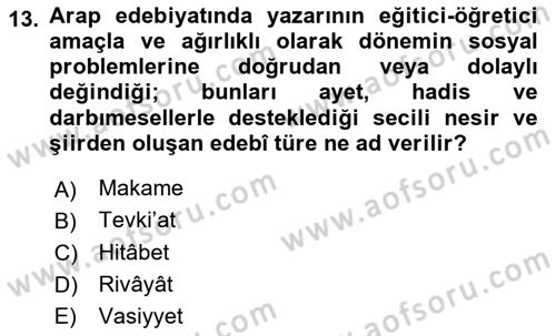 VIII-XIII. Yüzyıllar Türk Edebiyatı Dersi 2025 - 2026 Yılı (Vize) Ara Sınav Soruları 13. Soru