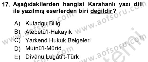 VIII-XIII. Yüzyıllar Türk Edebiyatı Dersi 2025 - 2026 Yılı (Vize) Ara Sınav Soruları 17. Soru