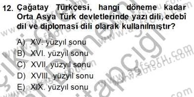 XIV-XV. Yüzyıllar Türk Edebiyatı Dersi 2014 - 2015 Yılı (Vize) Ara Sınavı 12. Soru