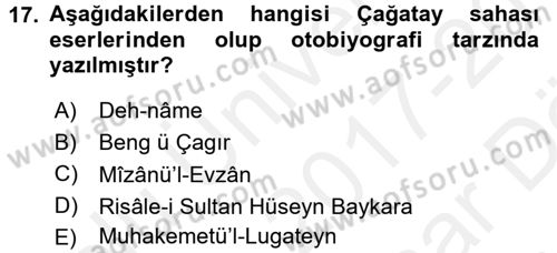 XIV-XV. Yüzyıllar Türk Edebiyatı Dersi 2017 - 2018 Yılı (Vize) Ara Sınav Soruları 17. Soru