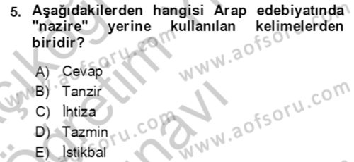XIV-XV. Yüzyıllar Türk Edebiyatı Dersi 2018 - 2019 Yılı Yaz Okulu Sınav Soruları 5. Soru