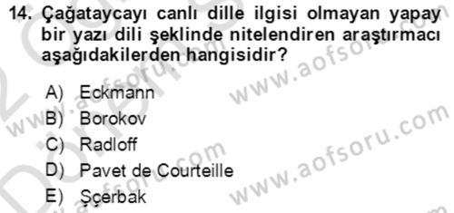 XIV-XV. Yüzyıllar Türk Edebiyatı Dersi 2021 - 2022 Yılı (Final) Dönem Sonu Sınav Soruları 14. Soru