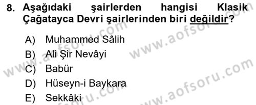 XIV-XV. Yüzyıllar Türk Edebiyatı Dersi 2022 - 2023 Yılı Yaz Okulu Sınav Soruları 8. Soru