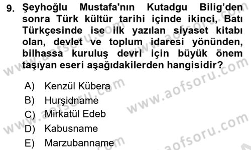 XIV-XV. Yüzyıllar Türk Edebiyatı Dersi 2023 - 2024 Yılı (Vize) Ara Sınavı 9. Soru