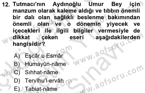 XIV-XV. Yüzyıllar Türk Edebiyatı Dersi 2024 - 2025 Yılı (Vize) Ara Sınav Soruları 12. Soru