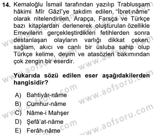 XIV-XV. Yüzyıllar Türk Edebiyatı Dersi 2024 - 2025 Yılı (Vize) Ara Sınav Soruları 14. Soru