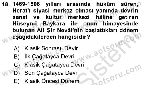 XIV-XV. Yüzyıllar Türk Edebiyatı Dersi 2024 - 2025 Yılı (Vize) Ara Sınav Soruları 18. Soru