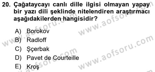 XIV-XV. Yüzyıllar Türk Edebiyatı Dersi 2024 - 2025 Yılı (Vize) Ara Sınav Soruları 20. Soru