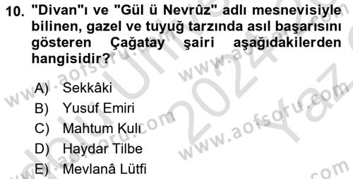 XIV-XV. Yüzyıllar Türk Edebiyatı Dersi 2024 - 2025 Yılı Yaz Okulu Sınav Soruları 10. Soru