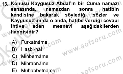 XIV-XV. Yüzyıllar Türk Edebiyatı Dersi 2024 - 2025 Yılı Yaz Okulu Sınav Soruları 13. Soru