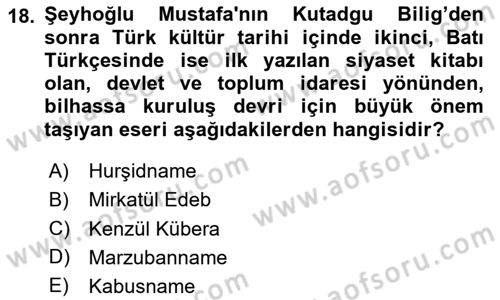 XIV-XV. Yüzyıllar Türk Edebiyatı Dersi 2024 - 2025 Yılı Yaz Okulu Sınav Soruları 18. Soru
