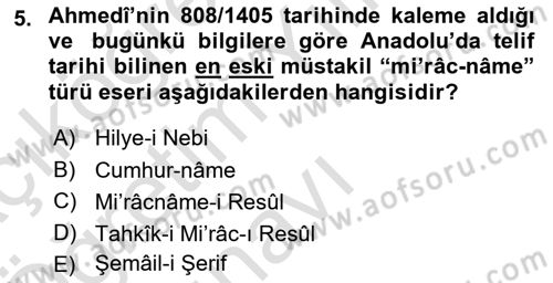 XIV-XV. Yüzyıllar Türk Edebiyatı Dersi 2024 - 2025 Yılı Yaz Okulu Sınav Soruları 5. Soru