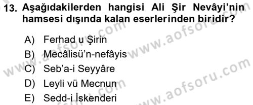XIV-XV. Yüzyıllar Türk Edebiyatı Dersi 2025 - 2026 Yılı (Vize) Ara Sınav Soruları 13. Soru