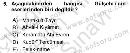 XIV-XV. Yüzyıllar Türk Edebiyatı Dersi 2025 - 2026 Yılı (Vize) Ara Sınav Soruları 5. Soru