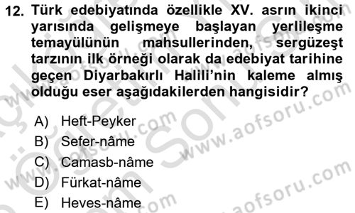 XIV-XV. Yüzyıllar Türk Edebiyatı Dersi 2025 - 2026 Yılı (Final) Dönem Sonu Sınav Soruları 12. Soru
