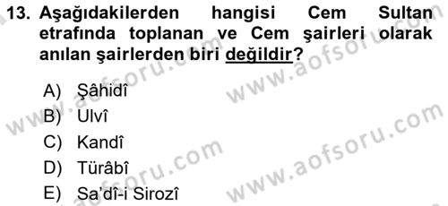 XIV-XV. Yüzyıllar Türk Edebiyatı Dersi 2025 - 2026 Yılı (Final) Dönem Sonu Sınav Soruları 13. Soru