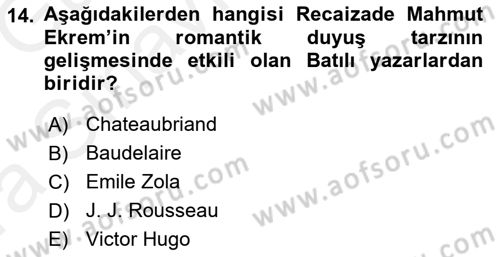 Tanzimat Dönemi Türk Edebiyatı 1 Dersi 2018 - 2019 Yılı (Vize) Ara Sınav Soruları 14. Soru