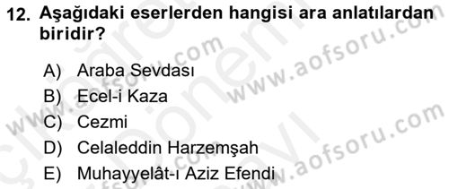 Tanzimat Dönemi Türk Edebiyatı 1 Dersi 2018 - 2019 Yılı (Final) Dönem Sonu Sınavı 12. Soru