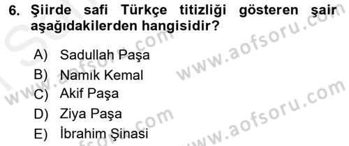 Tanzimat Dönemi Türk Edebiyatı 1 Dersi 2018 - 2019 Yılı (Final) Dönem Sonu Sınavı 6. Soru