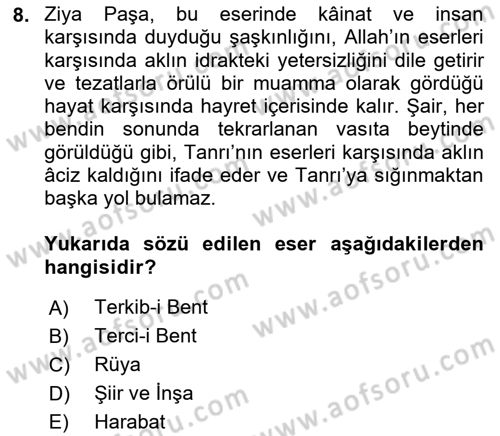 Tanzimat Dönemi Türk Edebiyatı 1 Dersi 2018 - 2019 Yılı (Final) Dönem Sonu Sınavı 8. Soru