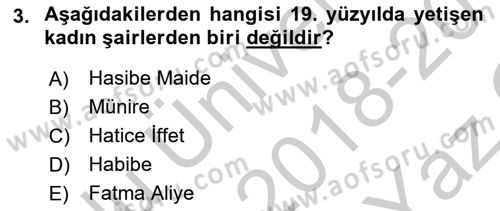 Tanzimat Dönemi Türk Edebiyatı 1 Dersi 2018 - 2019 Yılı Yaz Okulu Sınav Soruları 3. Soru